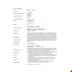 Sales Executive Resume - Expertly Crafted to Showcase Your Business Skills | Dayjob example document template 