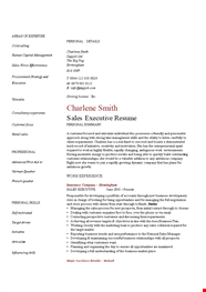 Sales Executive Resume Expertly Crafted To Showcase Your Business 