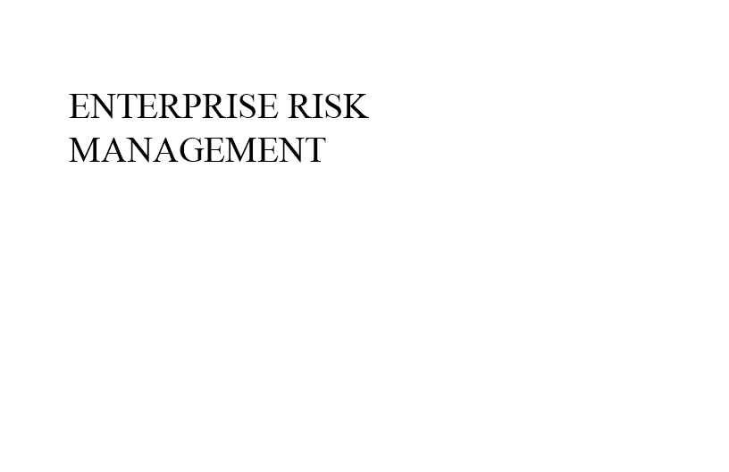 Enterprise Risk Management Organizational Chart Template