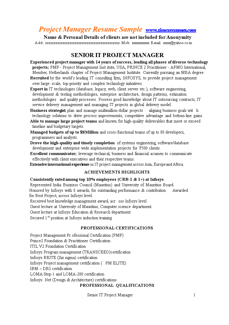 Professional It Project Manager Resume