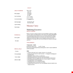 Sales Marketing Executive Resume example document template 