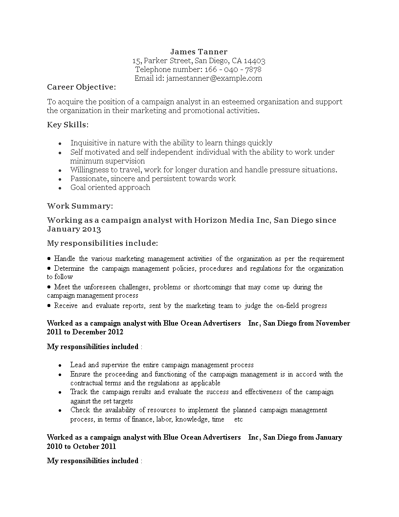 marketing-campaign-analyst-resume