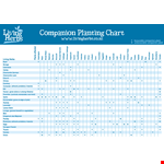 Simple Companion Planting Chart example document template