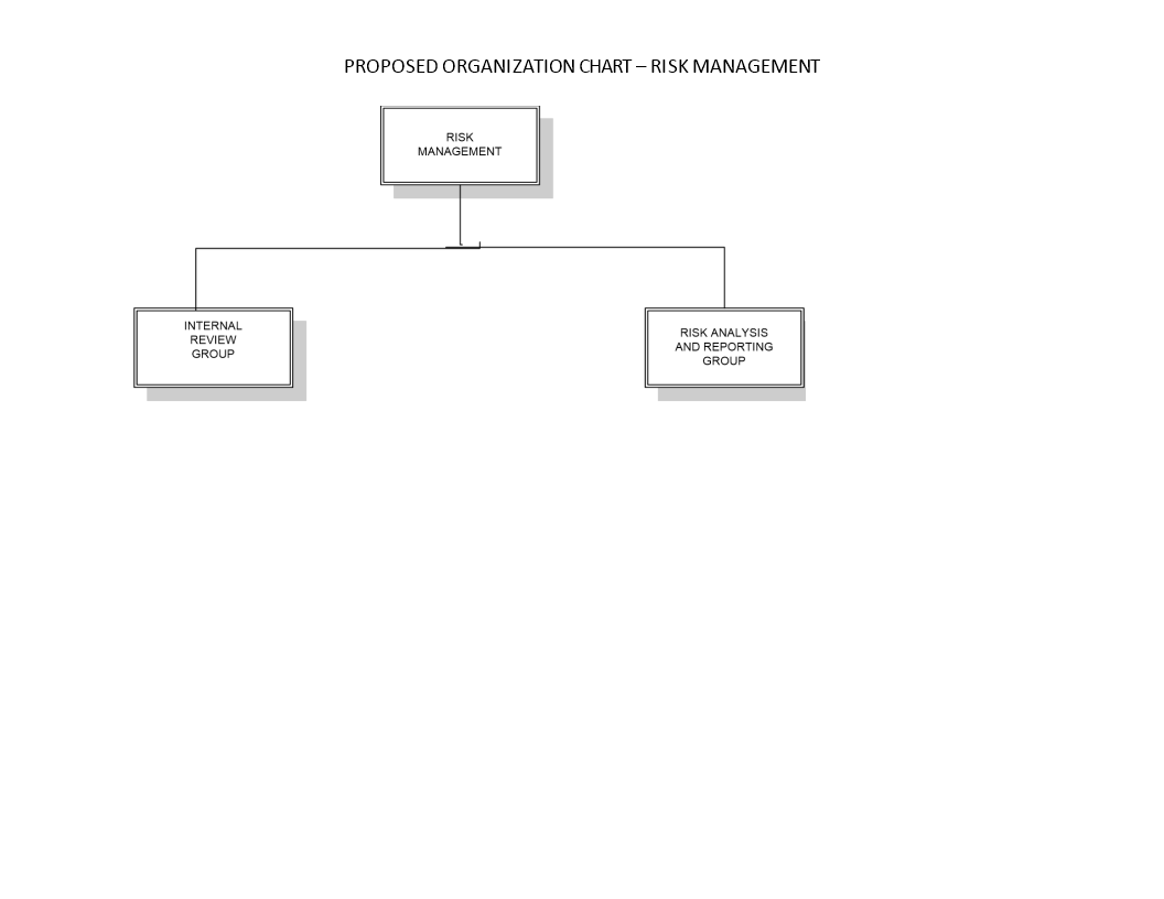 risk-management-organization-chart-template