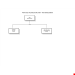 Risk Management Organization Chart Template example document template