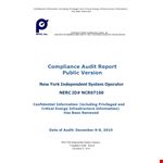 Compliance Audit example document template 