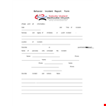 Child Behavior Incident Report example document template