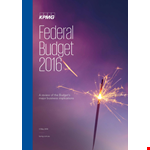 Small Business Federal Budget Sample example document template