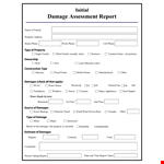 Damage Assessment example document template