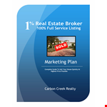 Real Estate Broker Marketing Plan example document template