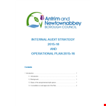 Internal Audit Action Plan example document template 