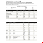 Retail Inventory Report - Effective Strategies for Managing Inventory Levels example document template