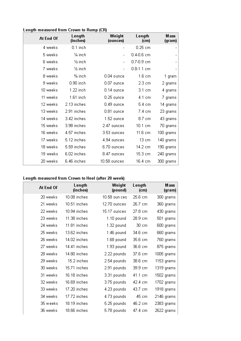 fetal-weight-length-chart