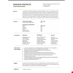 Resume Format For Accountant Executive example document template