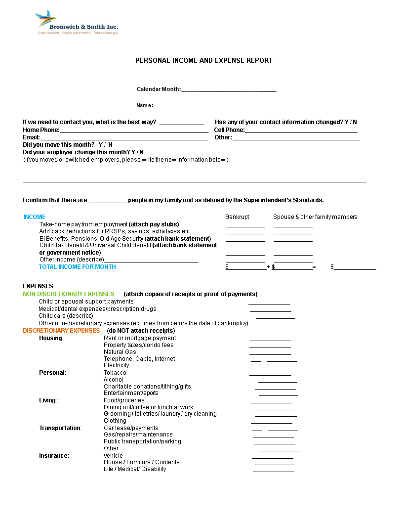 Personal Income Expense Report