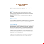 Executive Meeting Report example document template