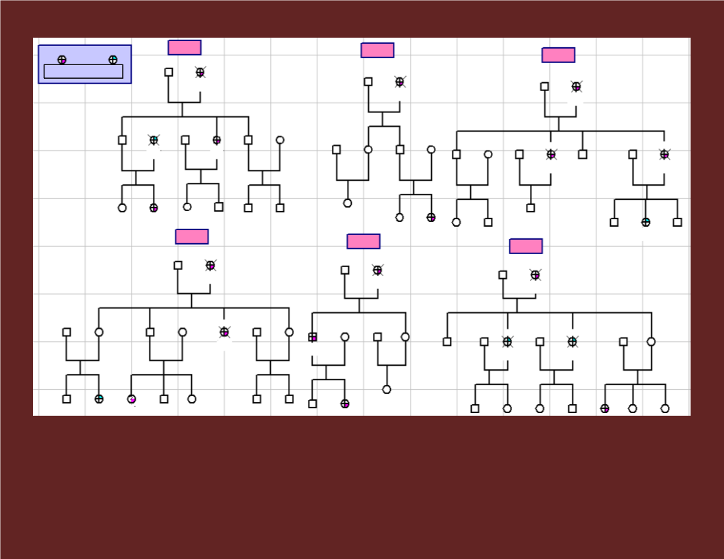 Create Professional Genograms With Our Templates - Download Now