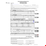 Company Travel Expense Report example document template