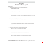 Effective Solutions for Student Learning: Team Meeting Agenda and Targets example document template