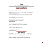 Sales Executive Job Resume Sample example document template