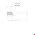 Employee Accident Incident Report example document template