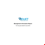 Management Information Report example document template