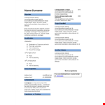 Professional Curriculum Vitae Template - Easy-to-use and Customizable example document template