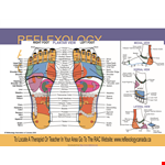 Therapist Foot Reflexology Chart example document template 