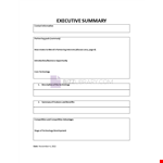 Management Executive Summary example document template