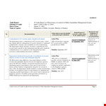 IT Audit Report Template - Streamline Your Department's System example document template