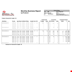 Monthly Business Report example document template