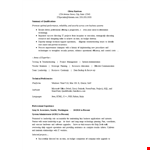 Professional It Resume Format example document template