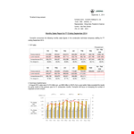 Monthly Sales Report example document template