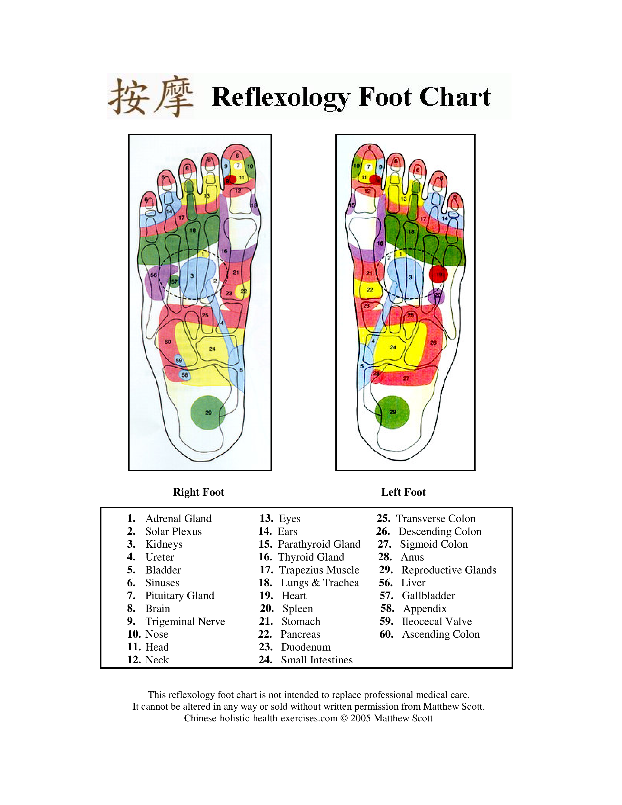 foot-reflexology-chart-printable-template