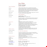 Personal Project Manager Curriculum Vitae & Project Management Example example document template