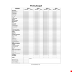Small Business Weekly Budget Template example document template