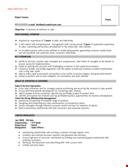 Sales Executive Job Resume Business Sales Products Customers