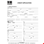 Credit Application Form | Complete Your Application Easily | Address, State example document template