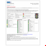 Vehicle Report example document template