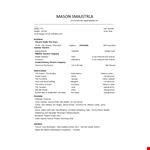 Professional Theatre Resume example document template 