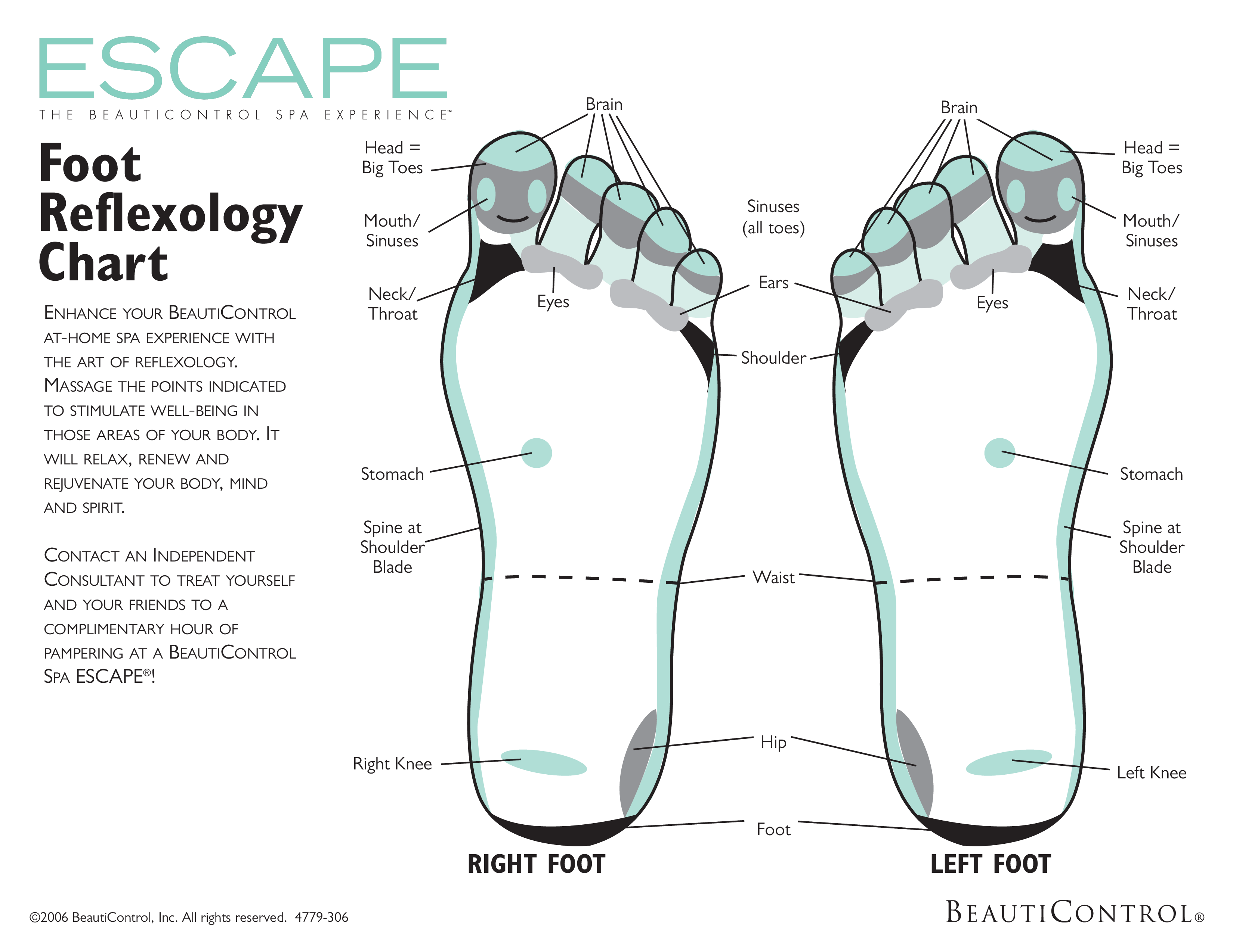 Explore The Benefits Of Foot Reflexology Chart Beauticontrol Sinuses