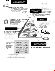 Daily Diet Chart