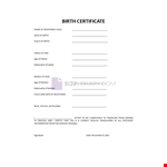 English Birth Certificate Translation Form example document template 