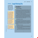 Marketing Plan Executive Summary Template - Free Download example document template