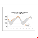 Natural Gas Storage example document template