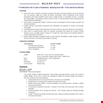 It Manager Resume Doc example document template