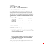 Marketing Account Executive Resume example document template