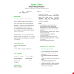 Project Manager Resume Example example document template