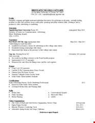 Sales Executive Example Resume