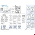 Large Hospital Organizational Chart Template - Download Now example document template